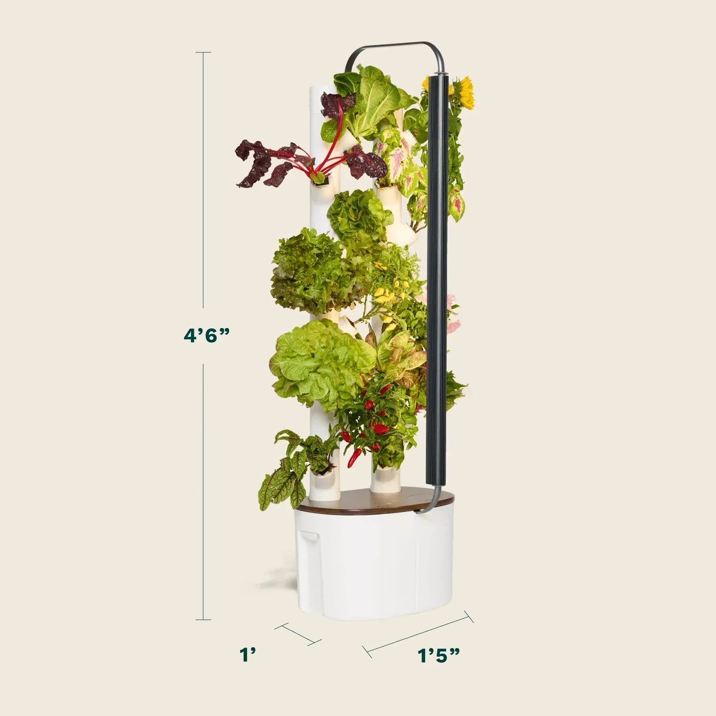 Floravie Studio + free 16-Plant Starter Set