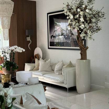 White magnolia in St. Tropez pot, beige glossy