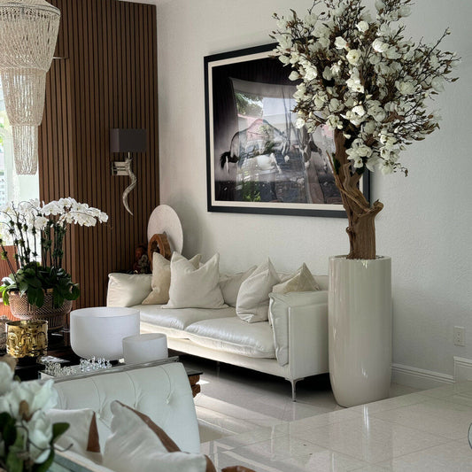 White magnolia in St. Tropez pot, beige glossy