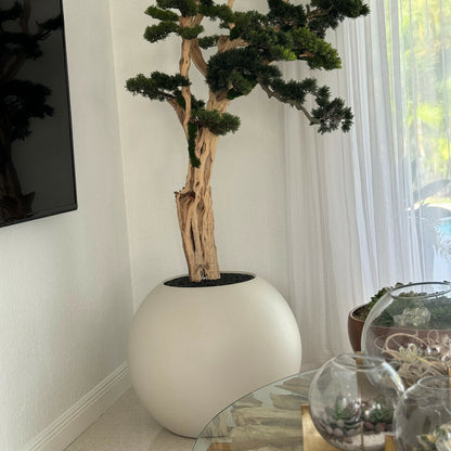 Bonsai tree standing on a 30-inch satin beige ball