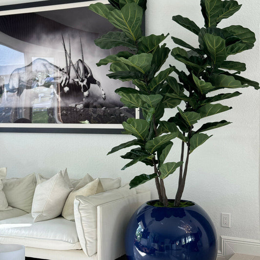 30 inch blue ball vase with fiddle leaf