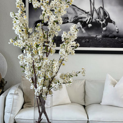 Cherry blossoms in a 16-inch glass cylinder