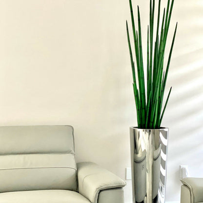 Large conical vase made of polished stainless steel with a large snake grass plant